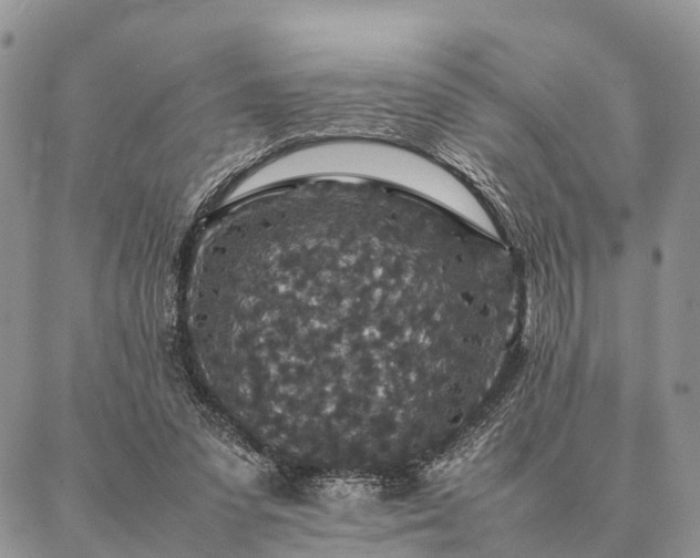 X0000086890303200704231135