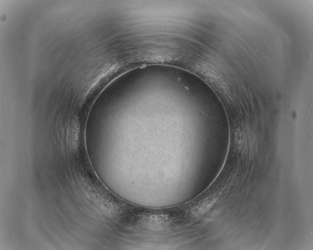 X0000086890304200704231135