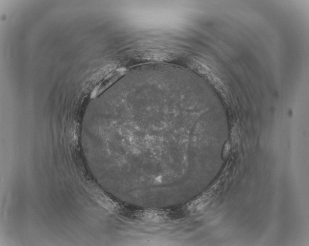 X0000086890305200704231135