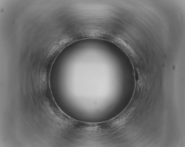 X0000086890306200704231135