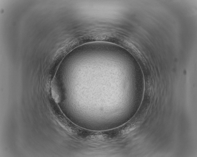 X0000086890307200704231135