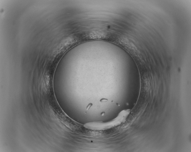 X0000086890308200704231135