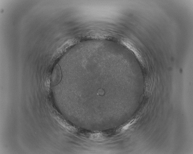 X0000086890309200704231135