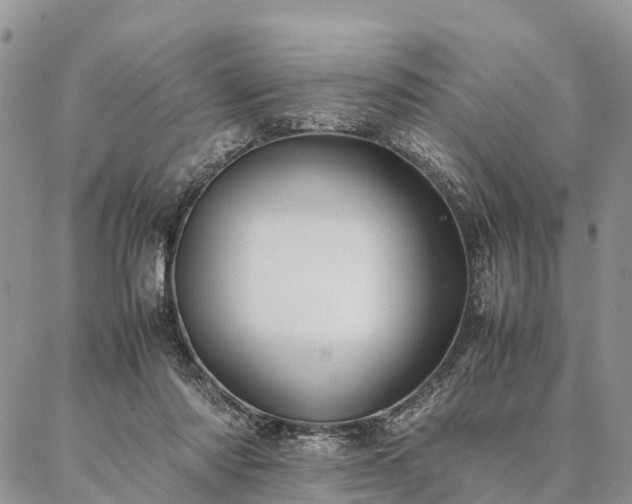 X0000086890310200704231135