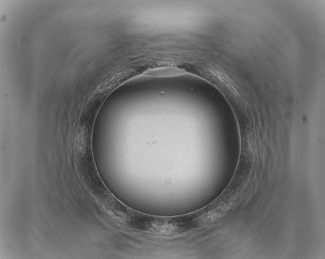 X0000086890311200704231135