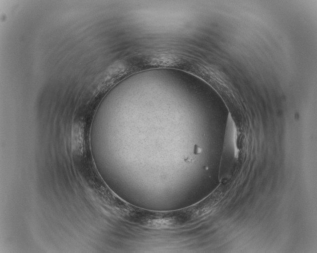 X0000086890312200704231135