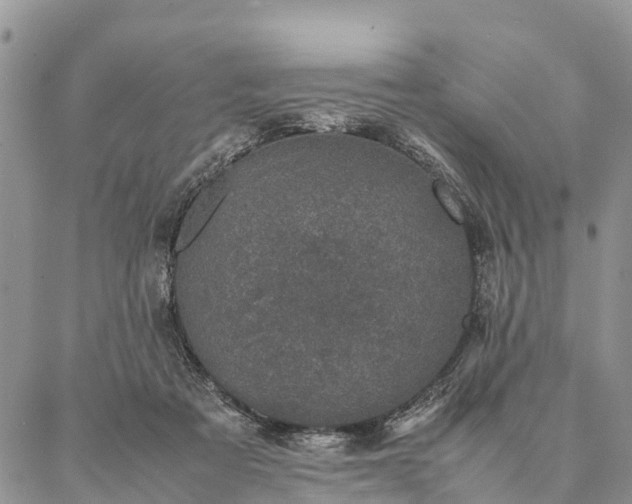 X0000086890313200704231135