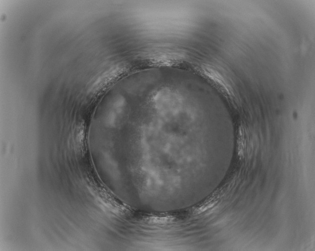 X0000086890314200704231134