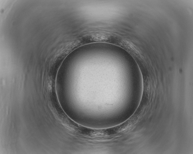 X0000086890315200704231134