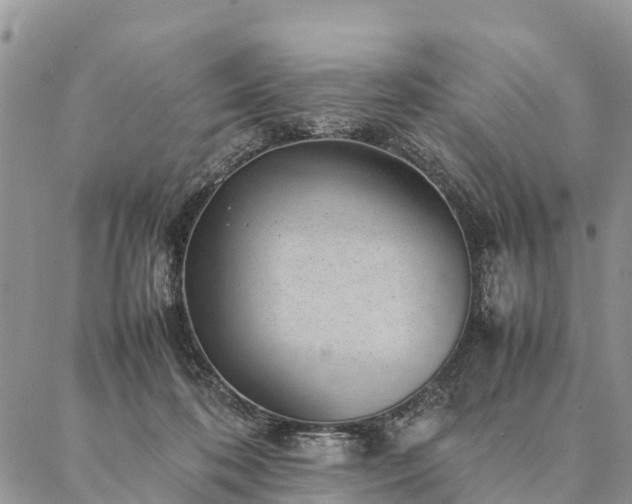 X0000086890316200704231134