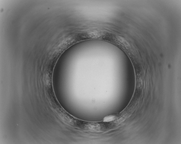 X0000086890317200704231134