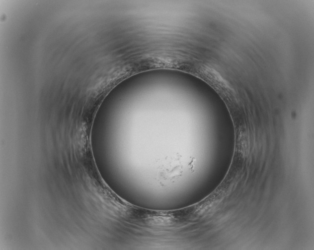 X0000086890318200704231134