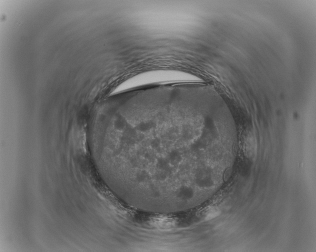 X0000086890319200704231134