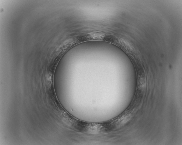 X0000086890321200704231134