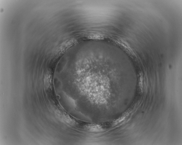 X0000086890322200704231134