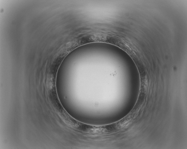 X0000086890323200704231134