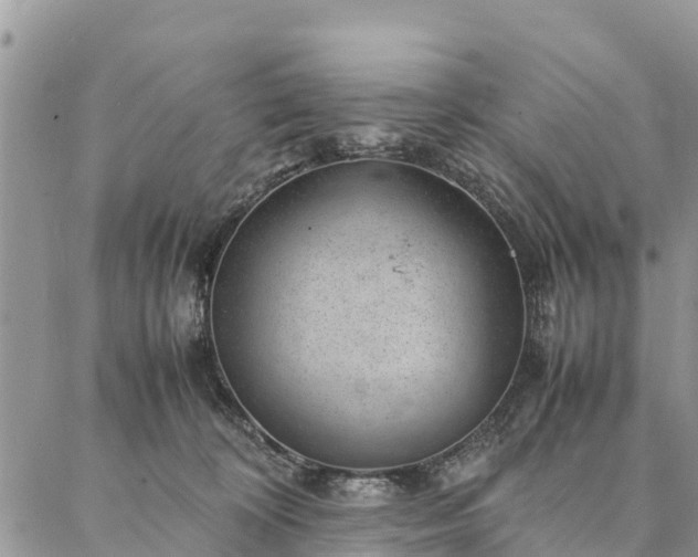 X0000086890324200704231134