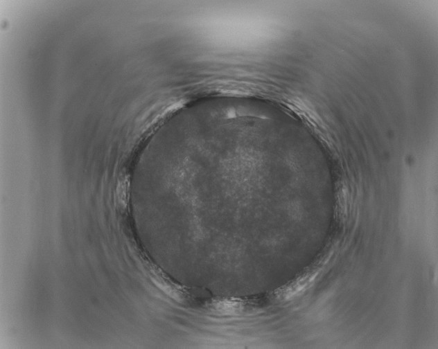 X0000086890325200704231134