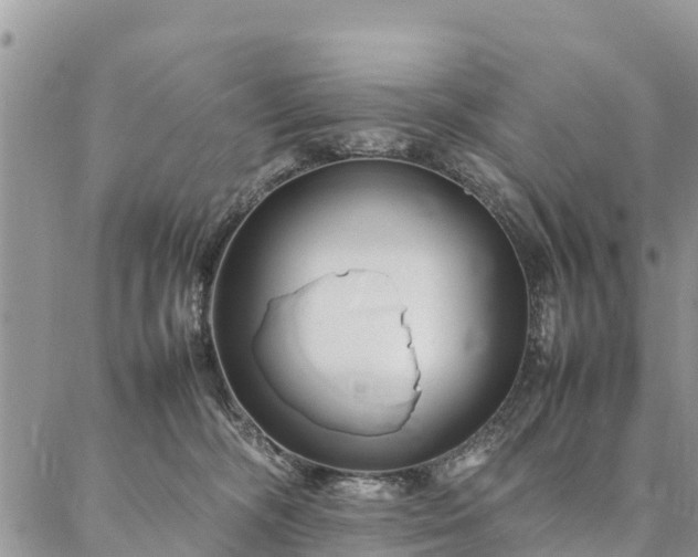 X0000086890326200704231134