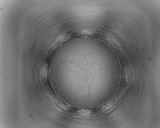 X0000086890328200704231134