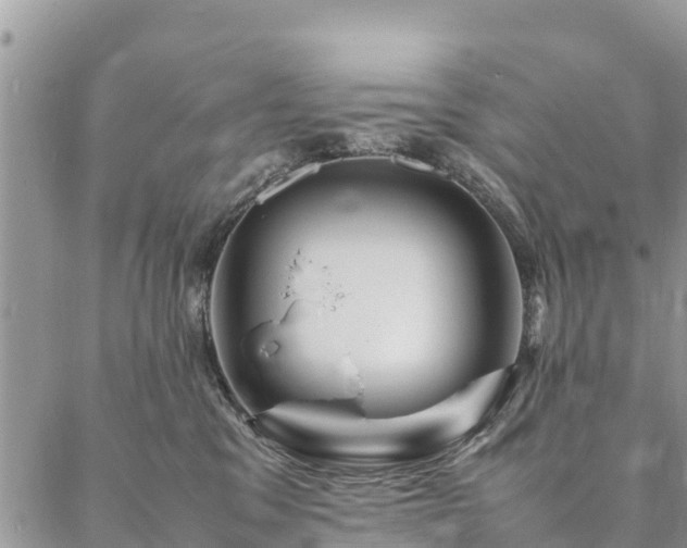 X0000086890329200704231134