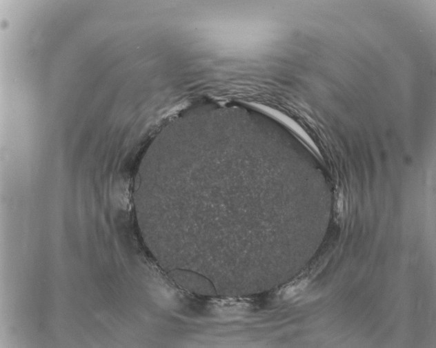 X0000086890331200704231134