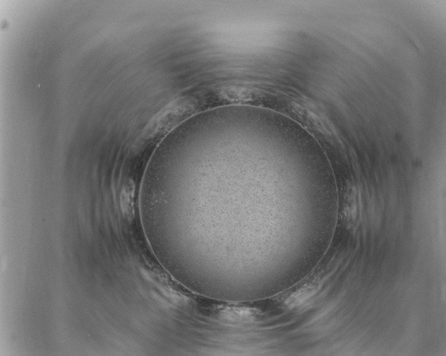 X0000086890332200704231134