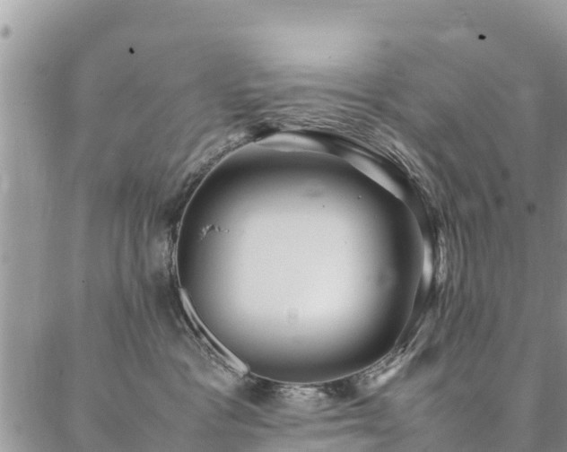 X0000086890333200704231134