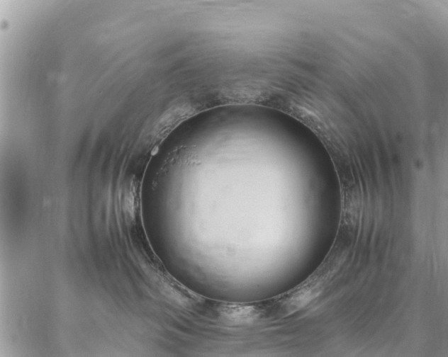 X0000086890334200704231134