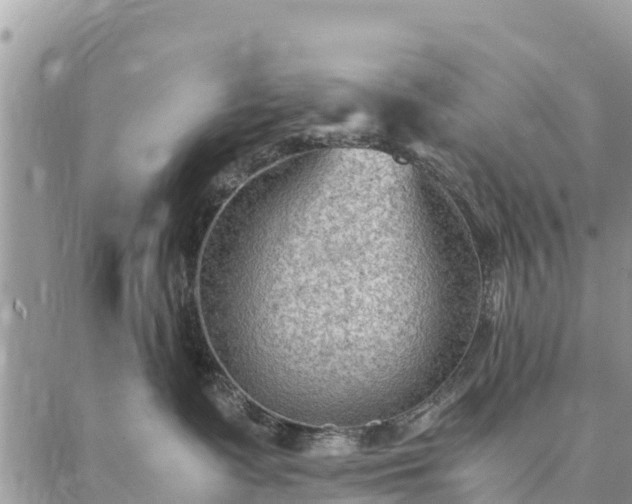 X0000086890335200704231134