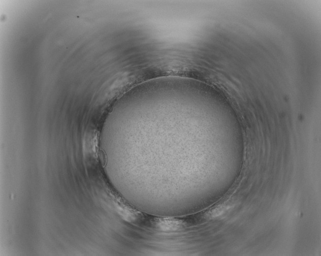 X0000086890336200704231134