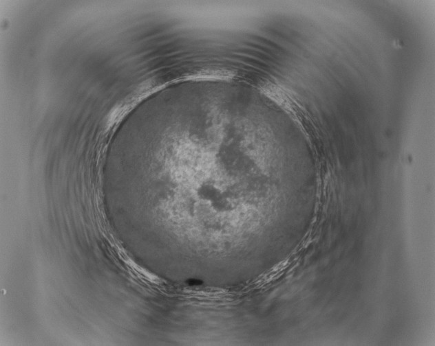 X0000086890337200704231133