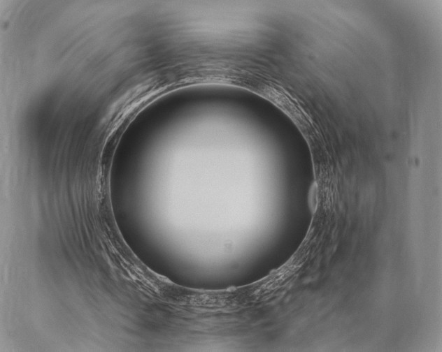 X0000086890338200704231133