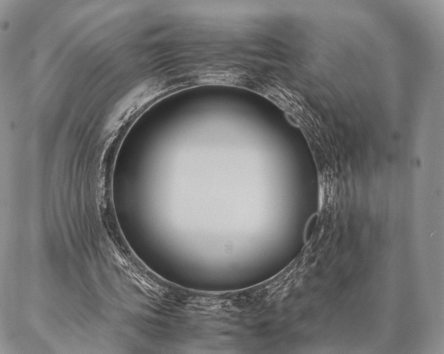 X0000086890339200704231133