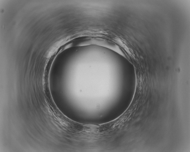 X0000086890340200704231133