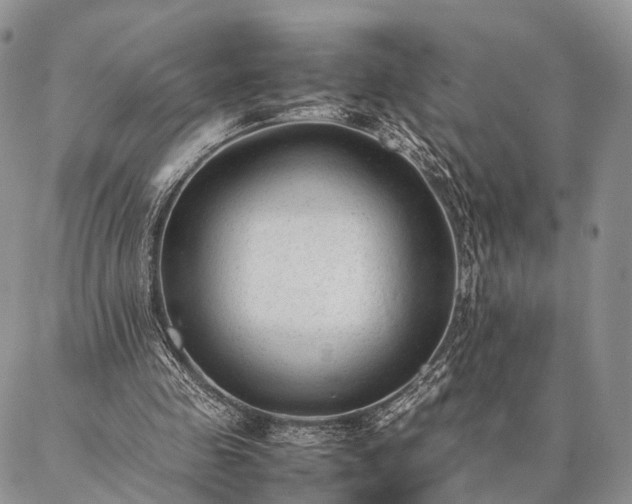 X0000086890341200704231133