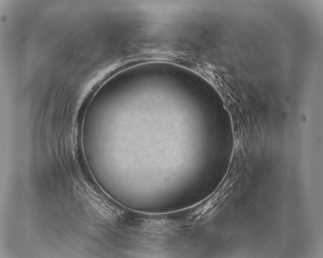 X0000086890342200704231133