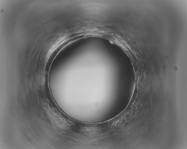 X0000086890344200704231133