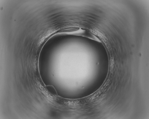 X0000086890345200704231133