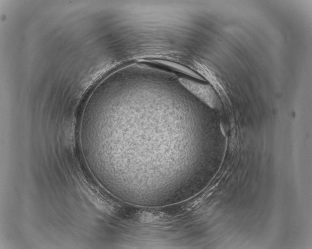 X0000086890346200704231133