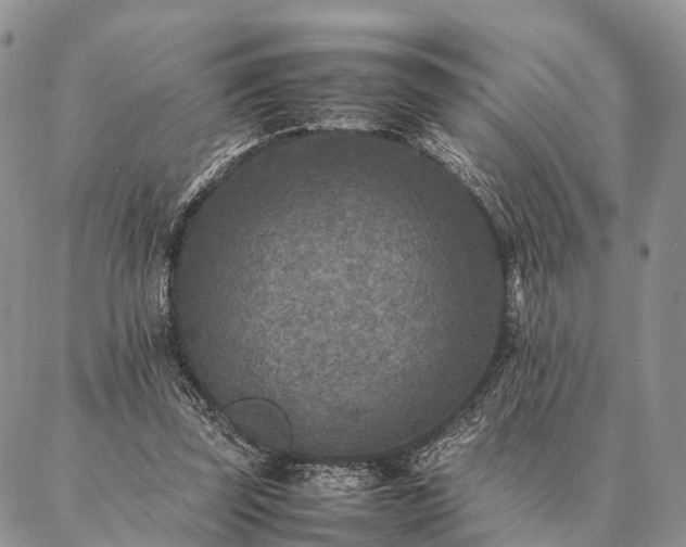 X0000086890347200704231134