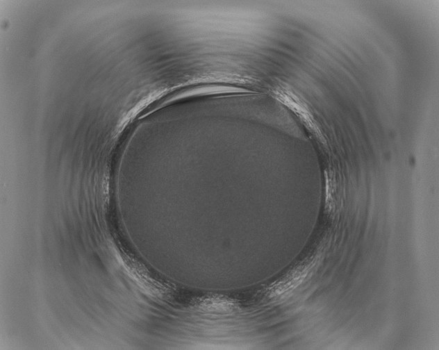 X0000086890348200704231134