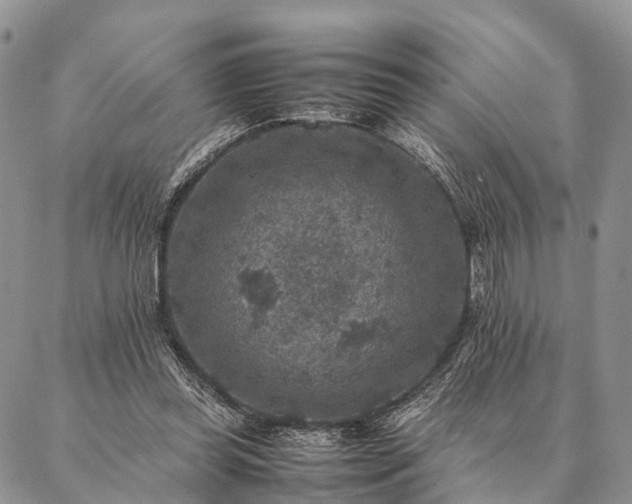 X0000086890349200704231134