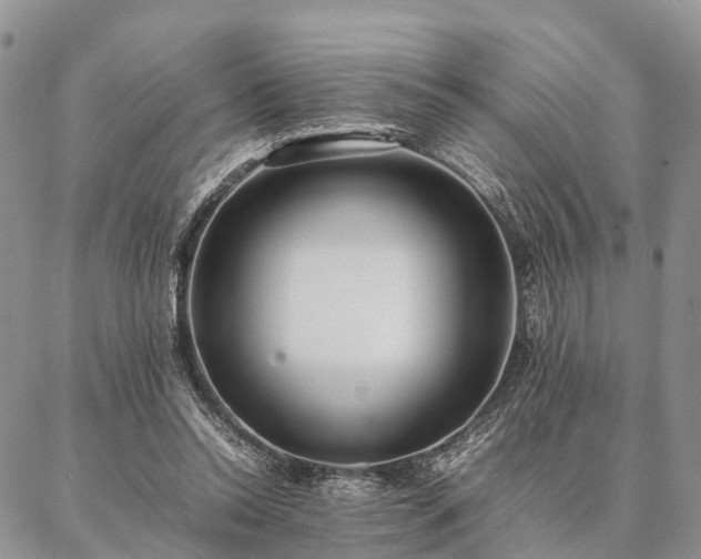 X0000086890350200704231134