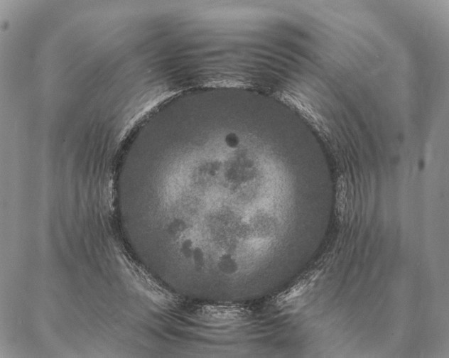 X0000086890351200704231134