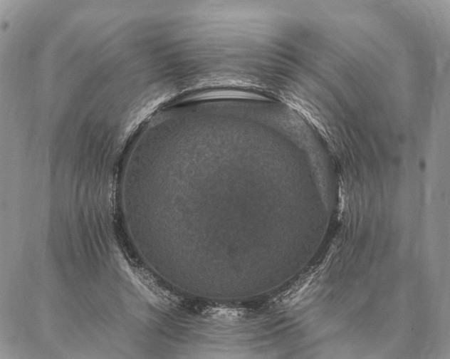 X0000086890352200704231134