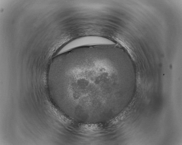 X0000086890353200704231134