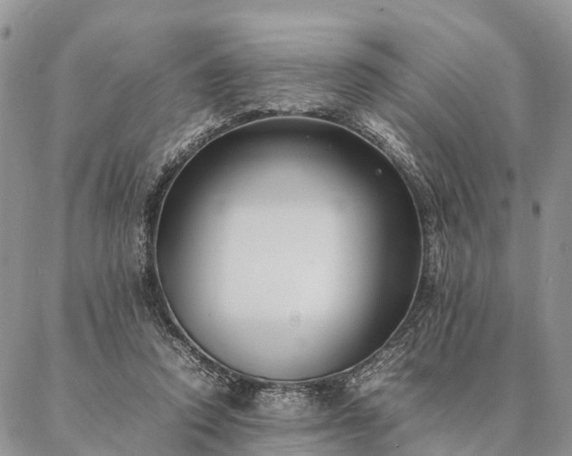 X0000086890354200704231134