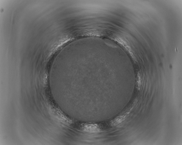 X0000086890355200704231134