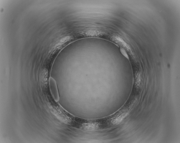 X0000086890356200704231134